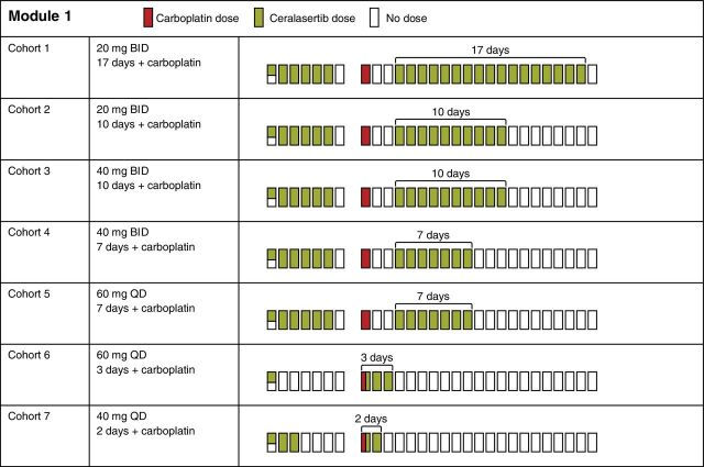 Figure 1. Dose cohorts. BID, twice daily; QD, once daily.