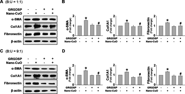 Fig. 12