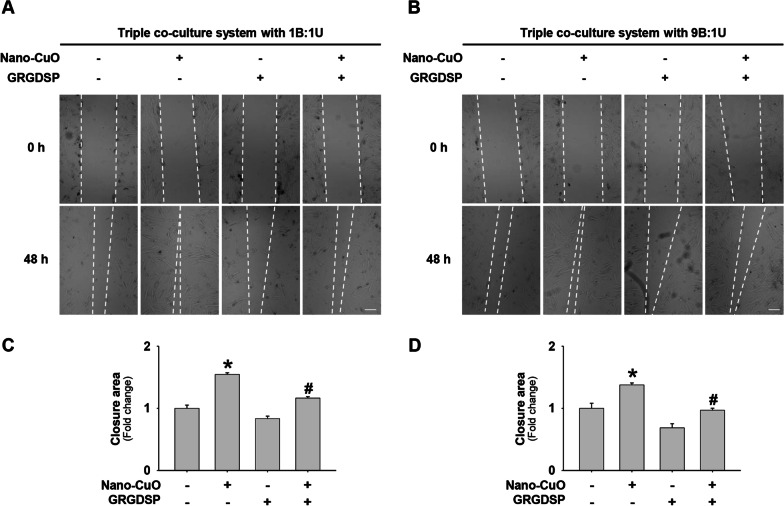 Fig. 13