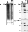 FIG. 6.