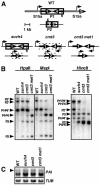 FIG. 1.