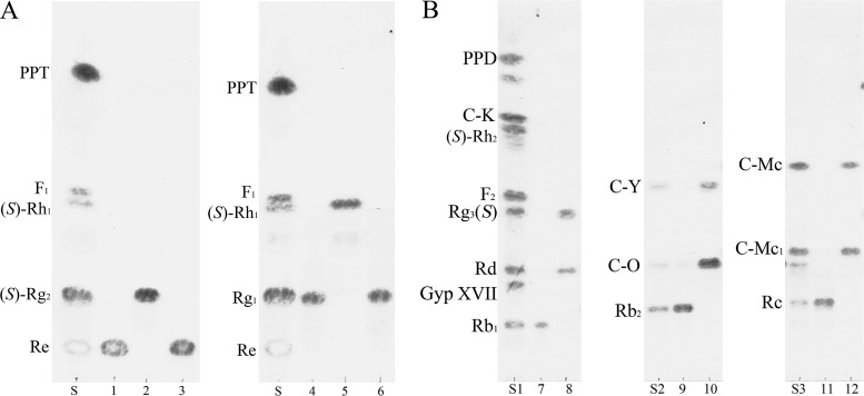 Fig 4