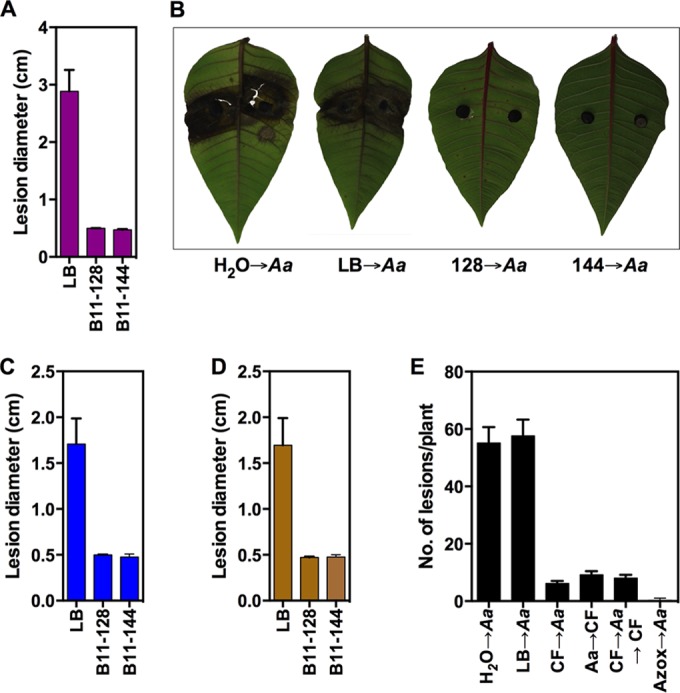 FIG 5