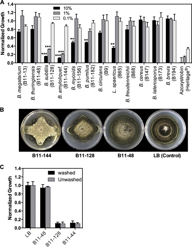 FIG 1