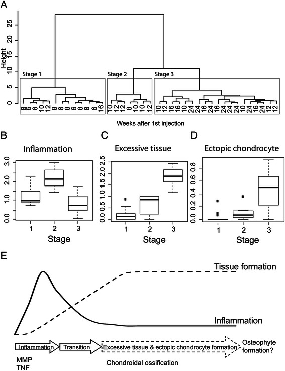 Fig. 5