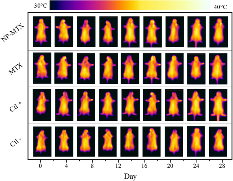 Fig. 7