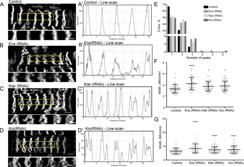 FIGURE 5: