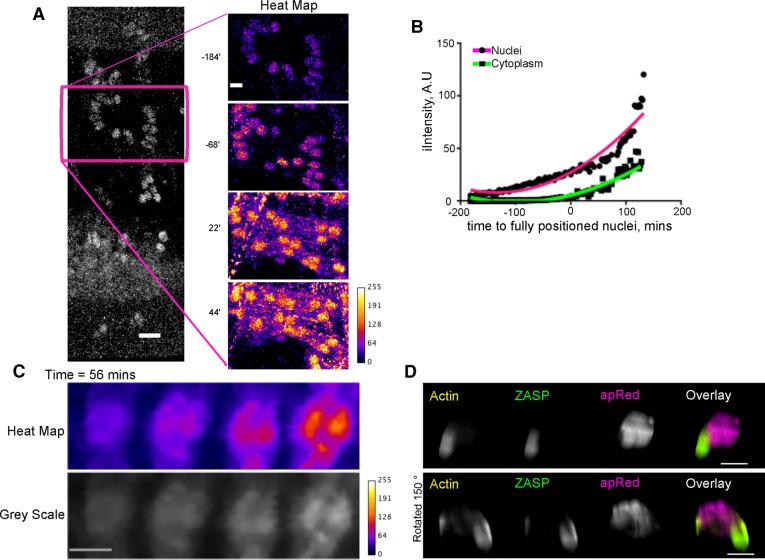 FIGURE 2: