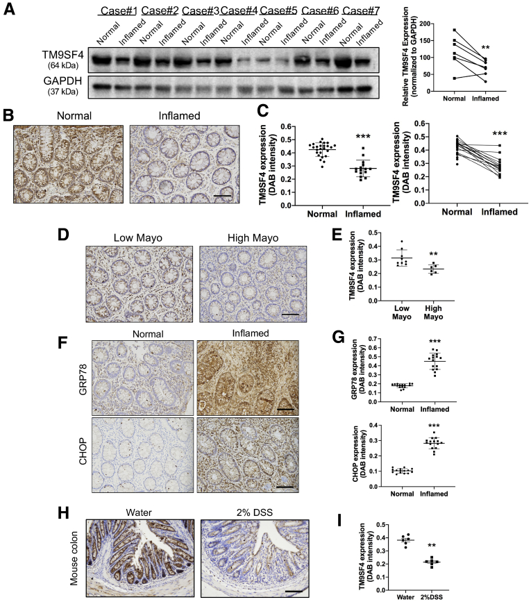 Figure 14