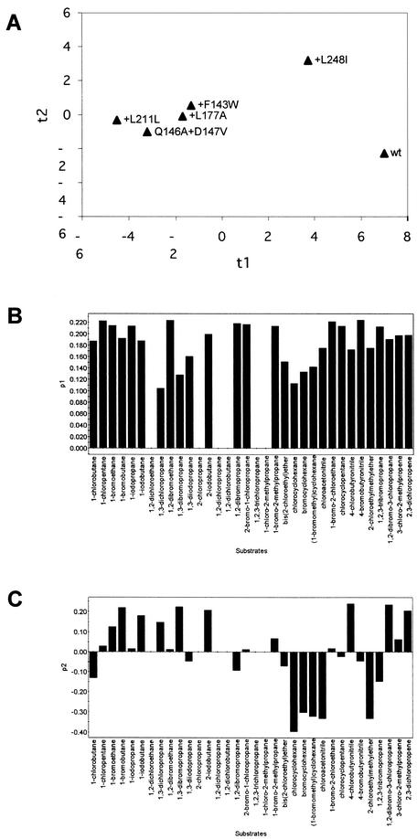 FIG.3.