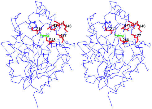 FIG. 2.