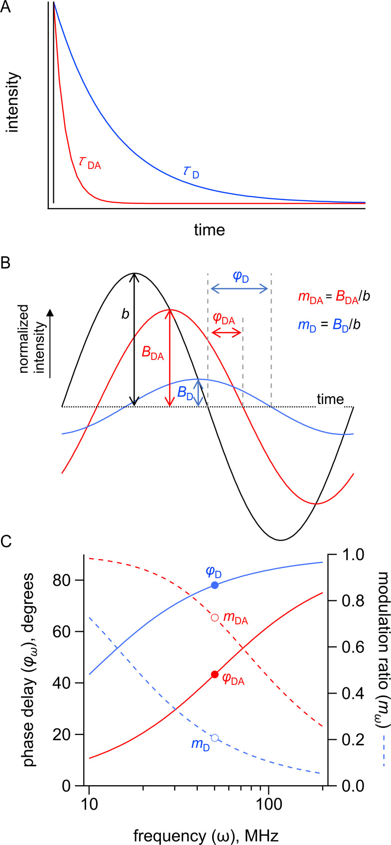 Figure 8—figure supplement 2.