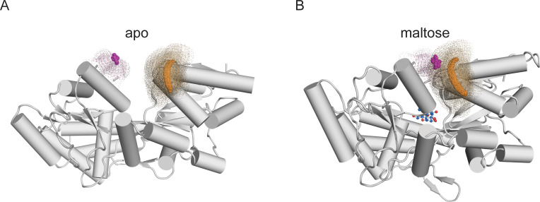 Figure 6—figure supplement 3.