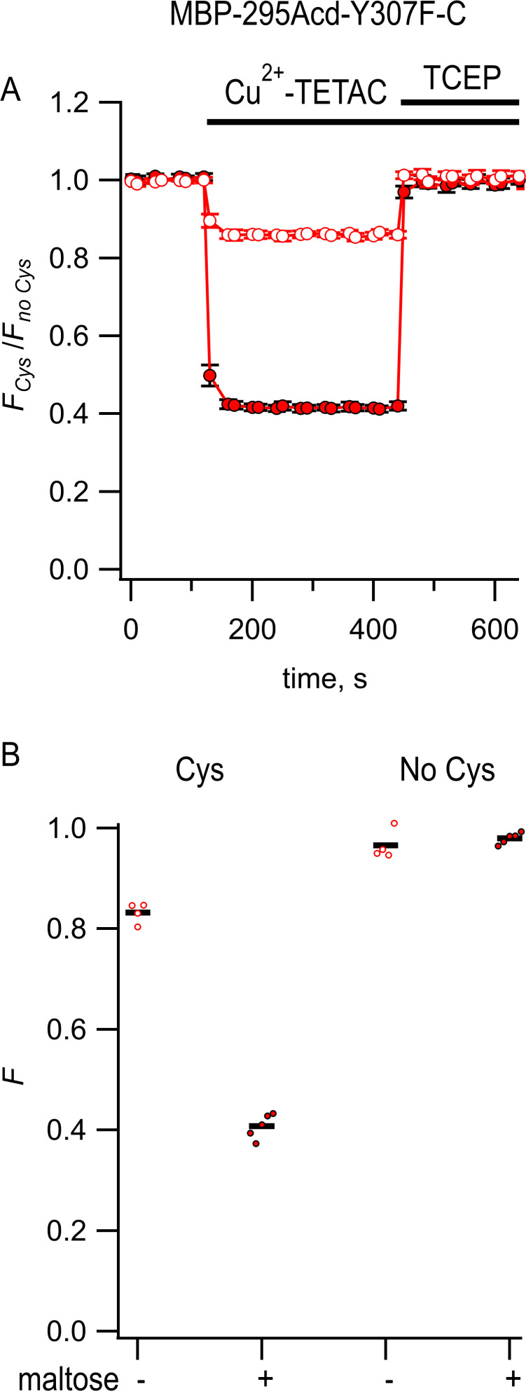 Figure 5—figure supplement 1.