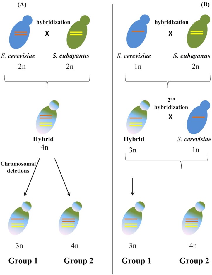 Figure 3.