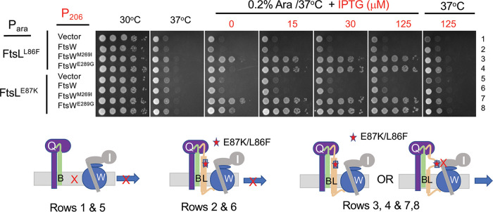 FIG 3