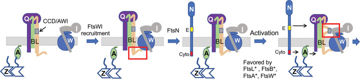 FIG 1