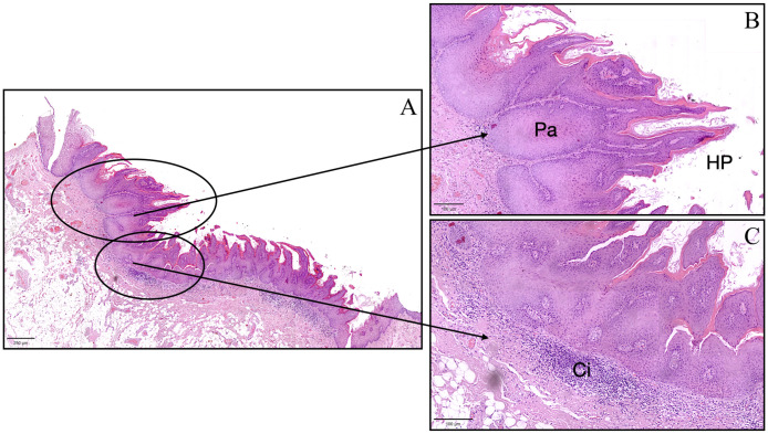 Figure 3