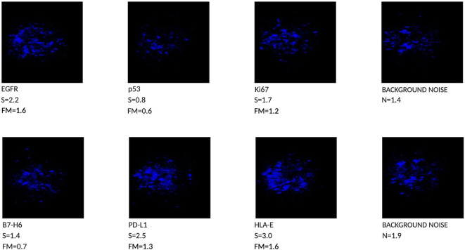 Figure 2