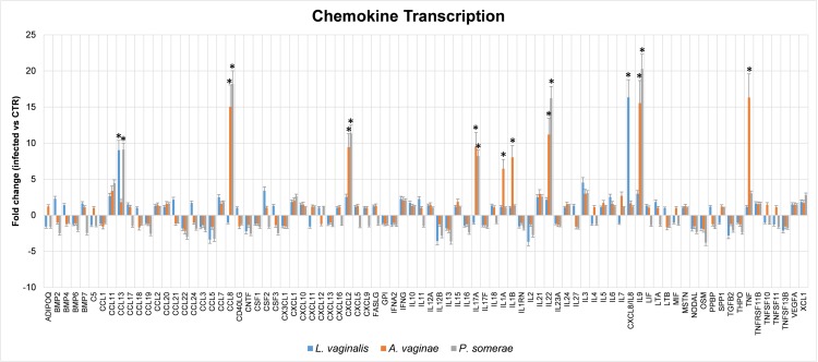 Atopobium vaginae And Porphyromonas somerae Induce Proinflammatory ...