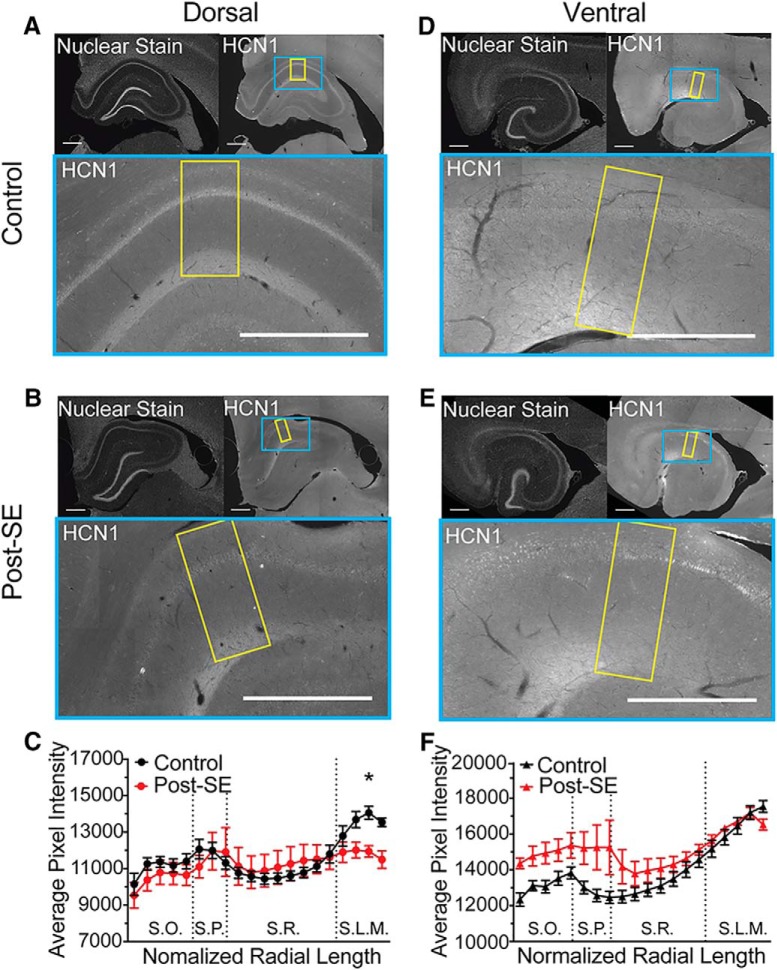 Figure 14.