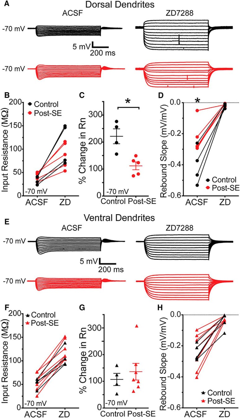 Figure 13.