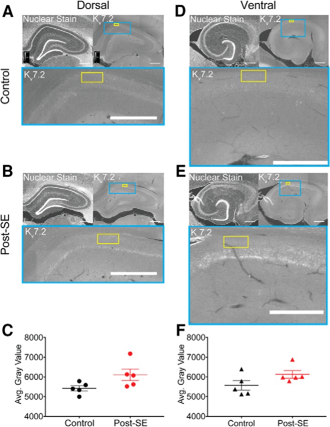 Figure 9.