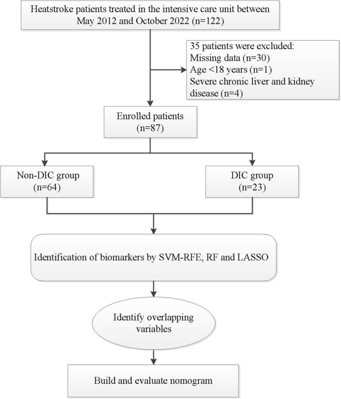 FIGURE 1