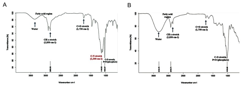 Fig.9