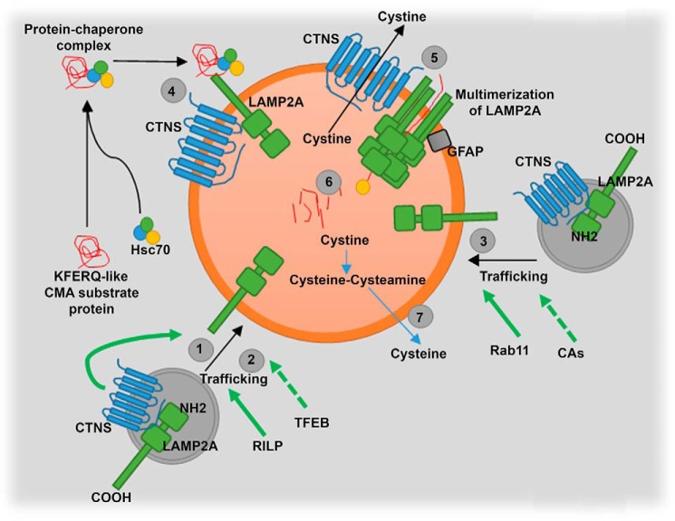 Figure 10.