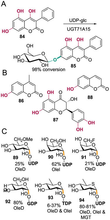 Scheme 16.