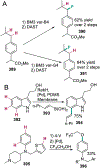 Scheme 61.