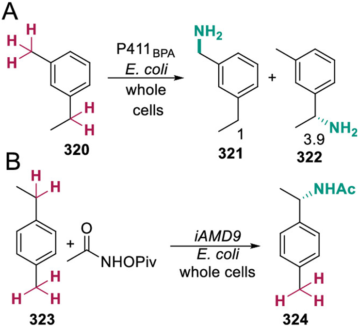 Scheme 52.
