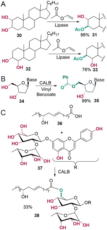 Scheme 8.