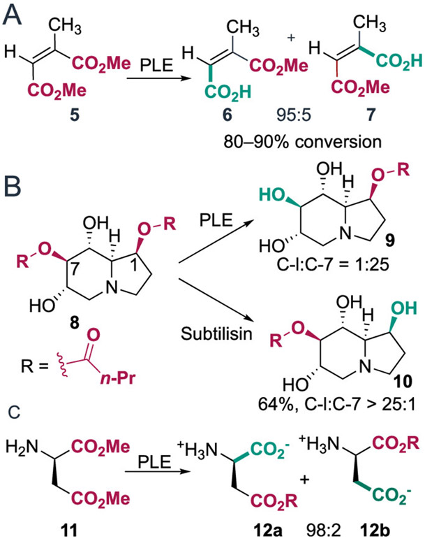 Scheme 4.