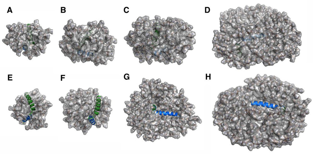 Fig. 8