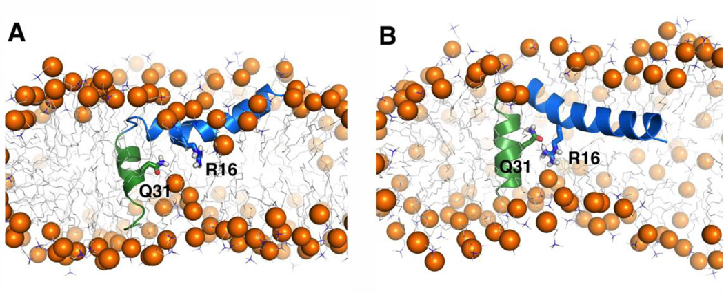 Fig. 10