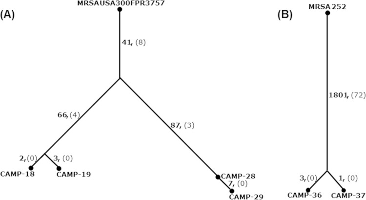 FIG 4