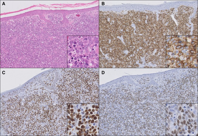 Fig. 3