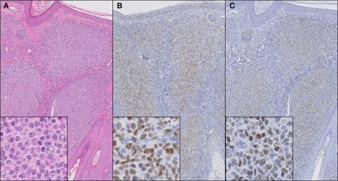 Fig. 2