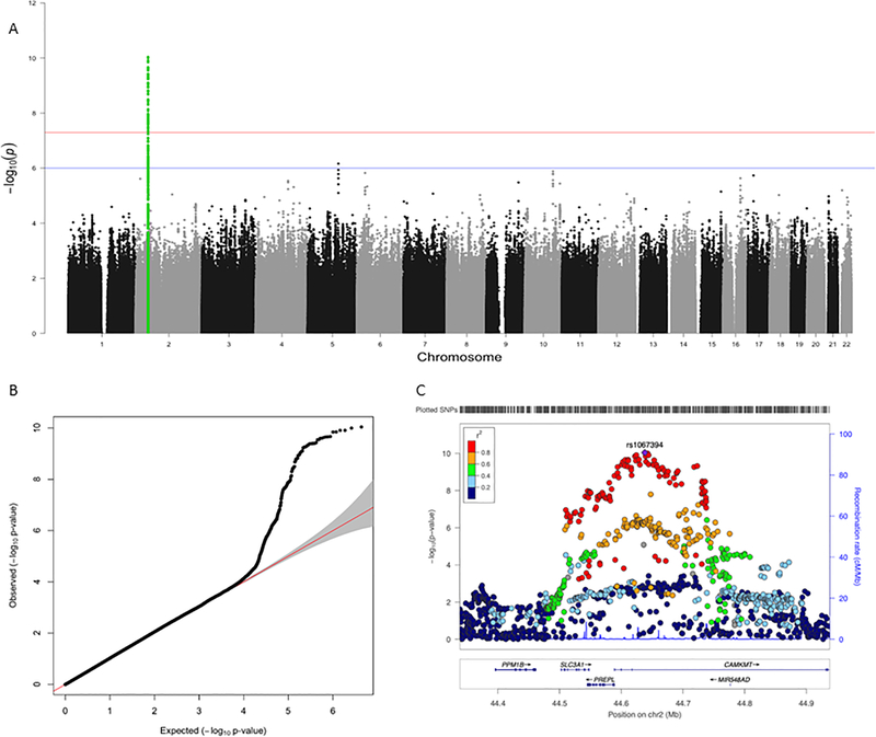 Figure 2: