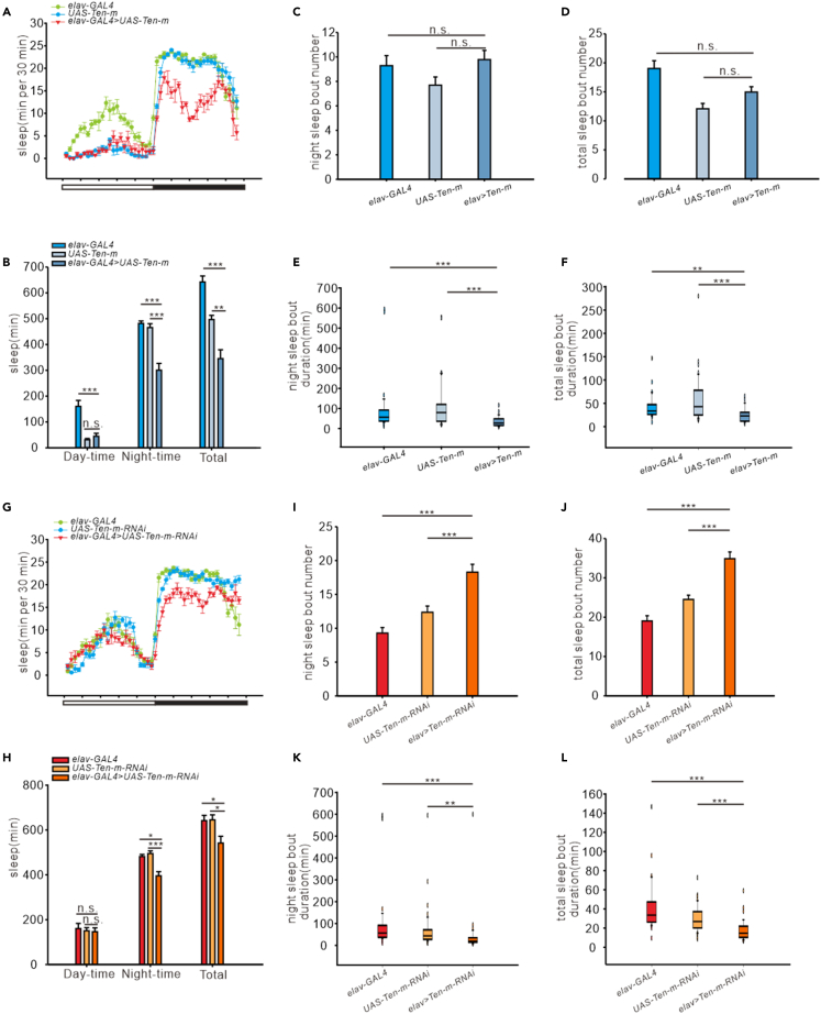 Figure 3