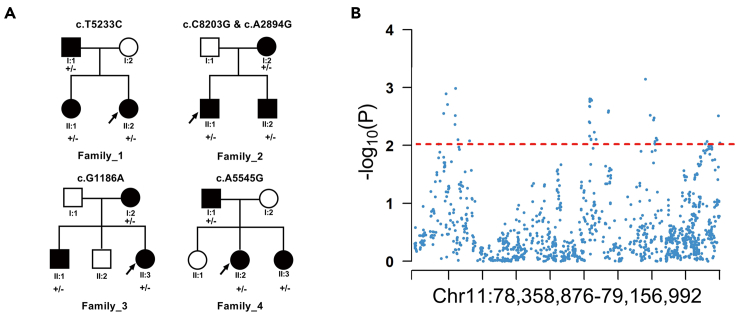 Figure 1