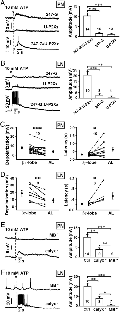 Fig. 2.