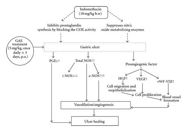 Figure 9