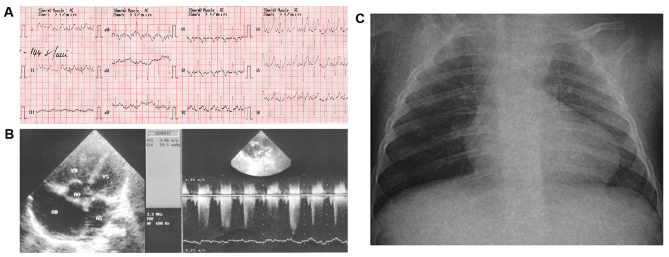 Figure 3.