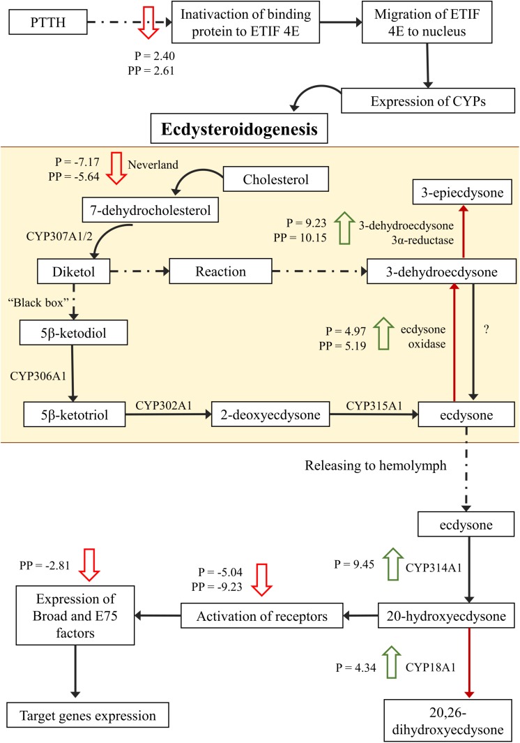 FIGURE 6