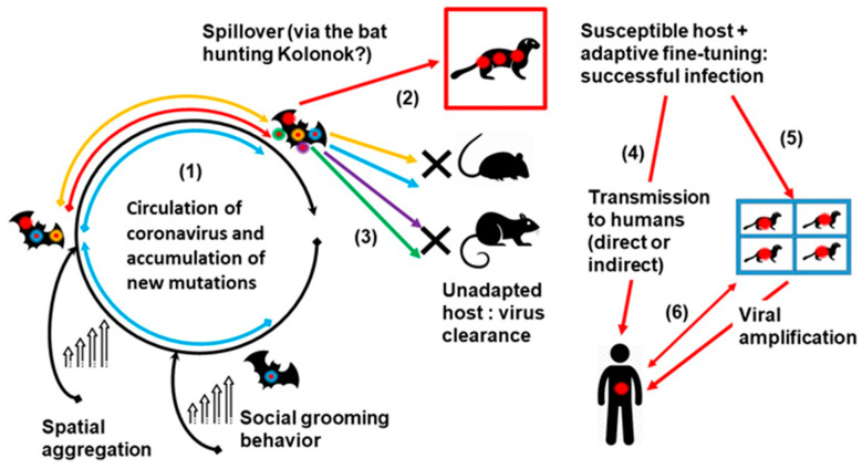 Figure 2