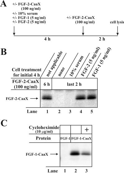 Figure 9.