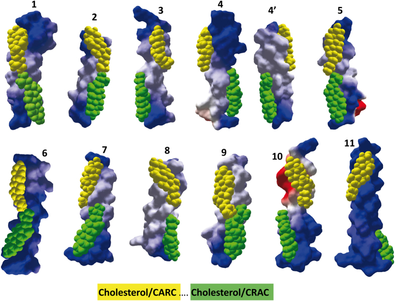 Figure 7